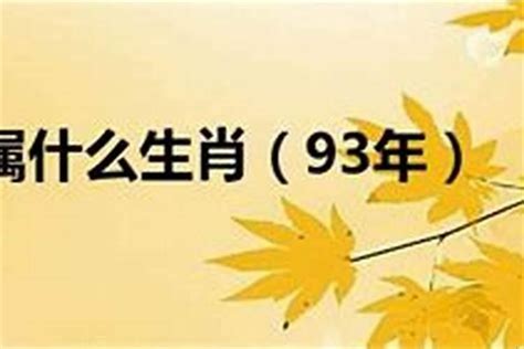 1993年是什么年